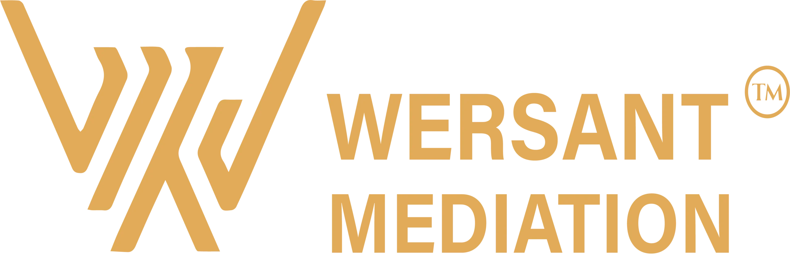 Wersant Mediation (1)